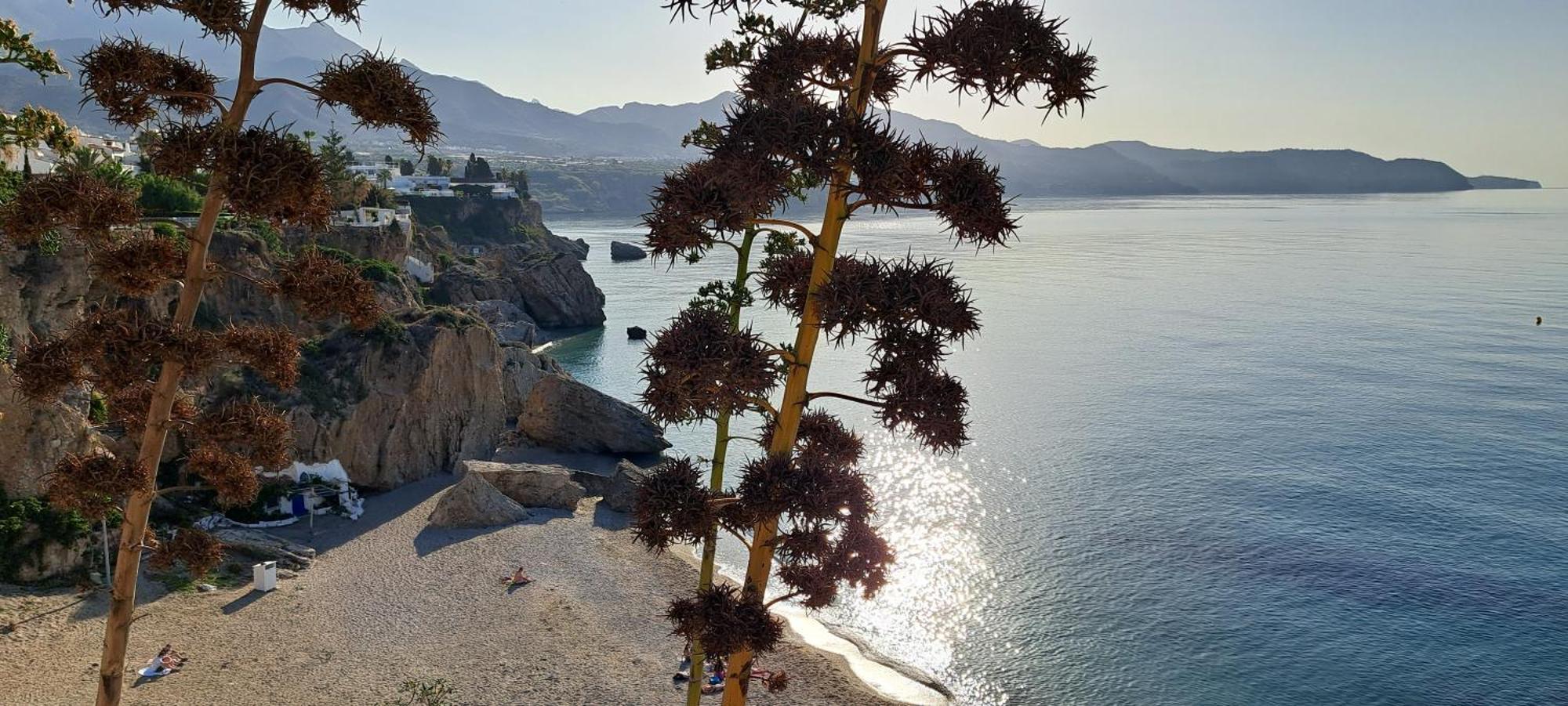 ネルハTorresol Sea Viewアパートメント エクステリア 写真
